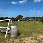 Terra Apartman *