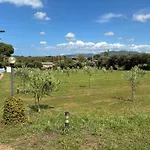 Apartman Terra *