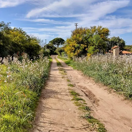 Terra Appartamento Valledoria (Sardinia)