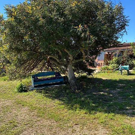 Apartmán Terra *