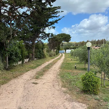 Terra * Valledoria (Sardinia)