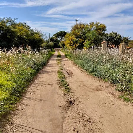 Terra Apartmán Valledoria (Sardinia)