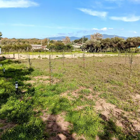 דירה Terra